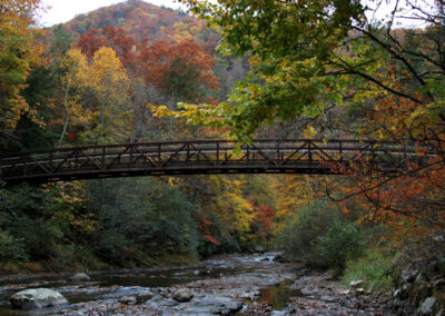 footbridge over river-fall colors