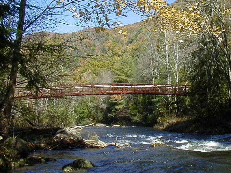 footbridge over river in fall