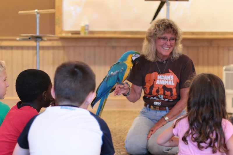 Macaw lady showing macaw to kids