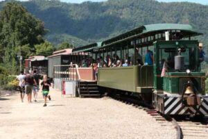 diesel train & covered passenger cars