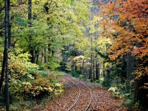 curved railroad tracks in fall