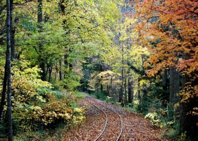 curved railroad tracks in fall