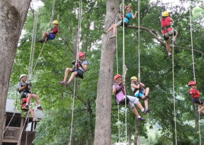 nine kids on treeclimb ropes