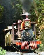 steam train in tunnel