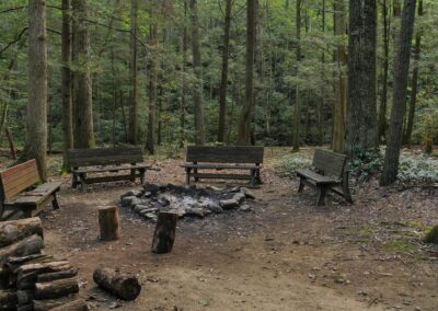 bonfire pit in hemlock woods
