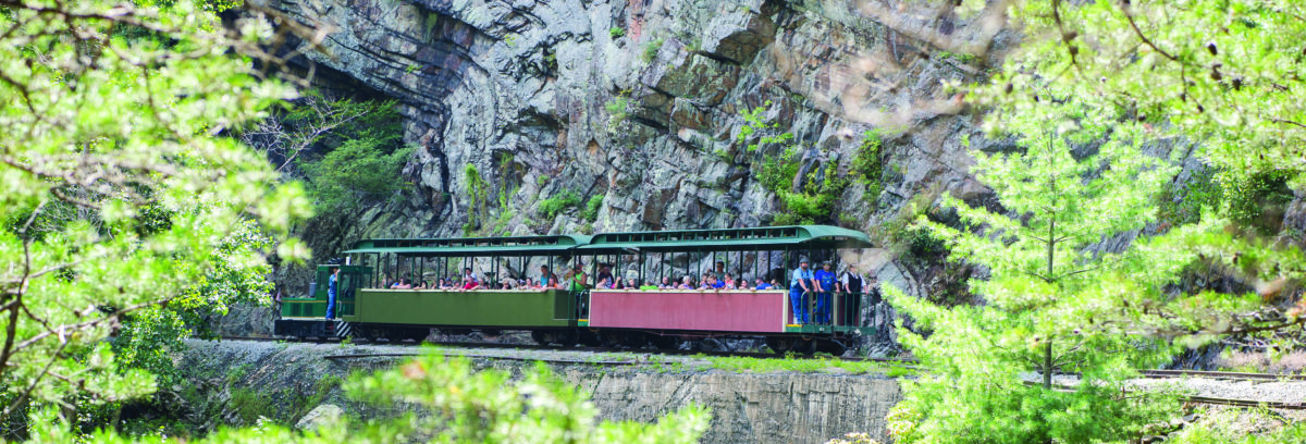 train in gorge