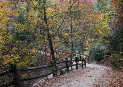 trail to footbridge
