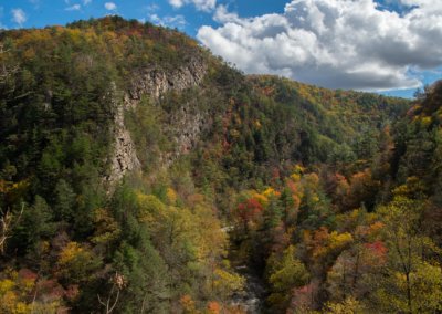 mountain gorge - fall colors
