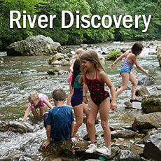 kids playing in shallow river