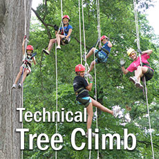 kids on technical tree climb ropes