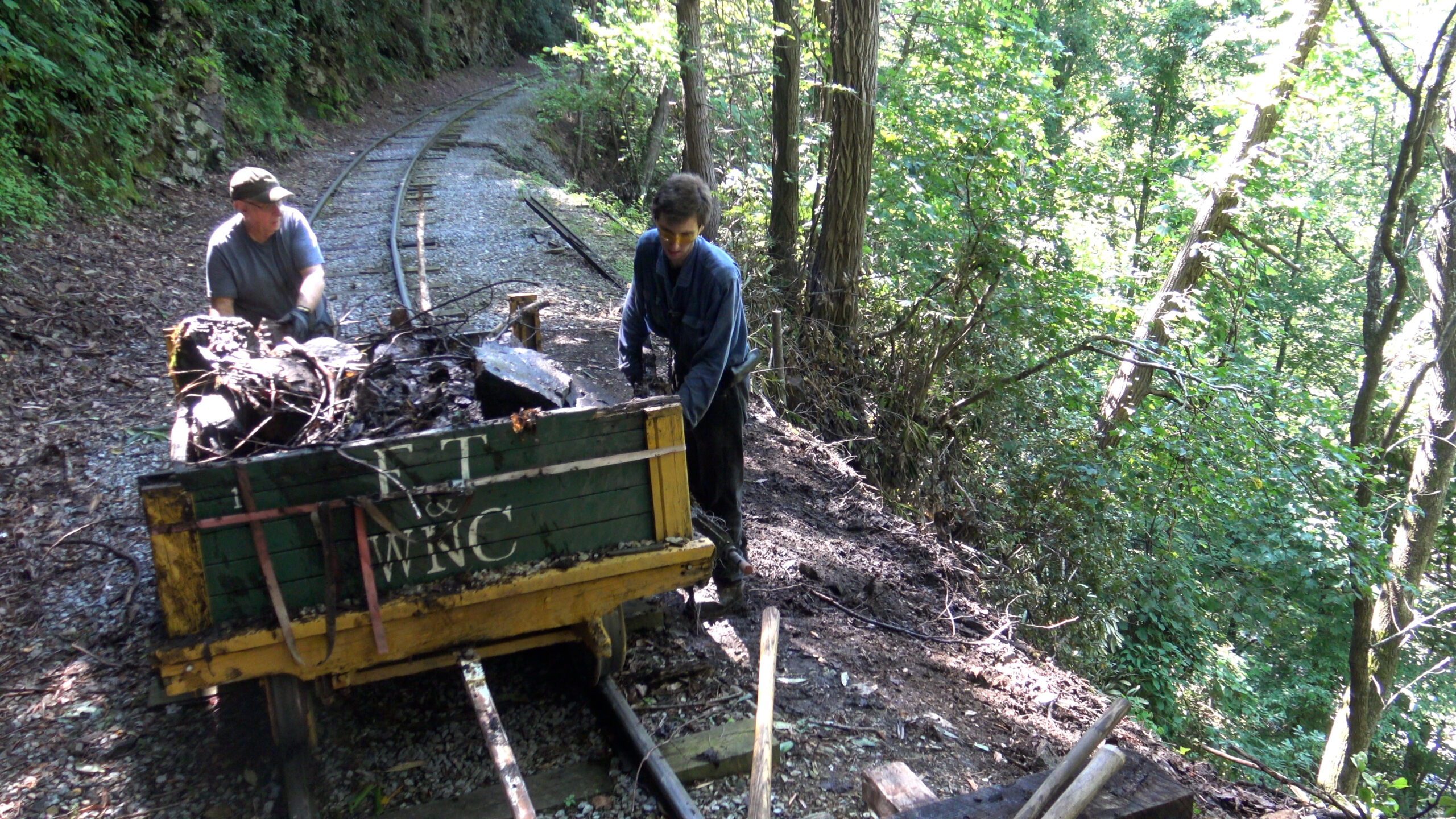 workers with rail cart clearing brush